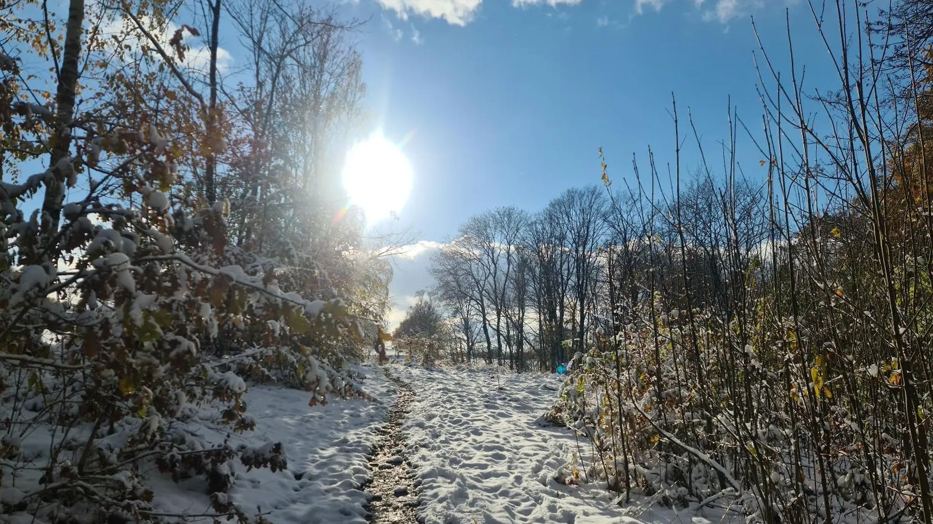 Gaestehaus Zum Rosengarten Dresda 0*,
