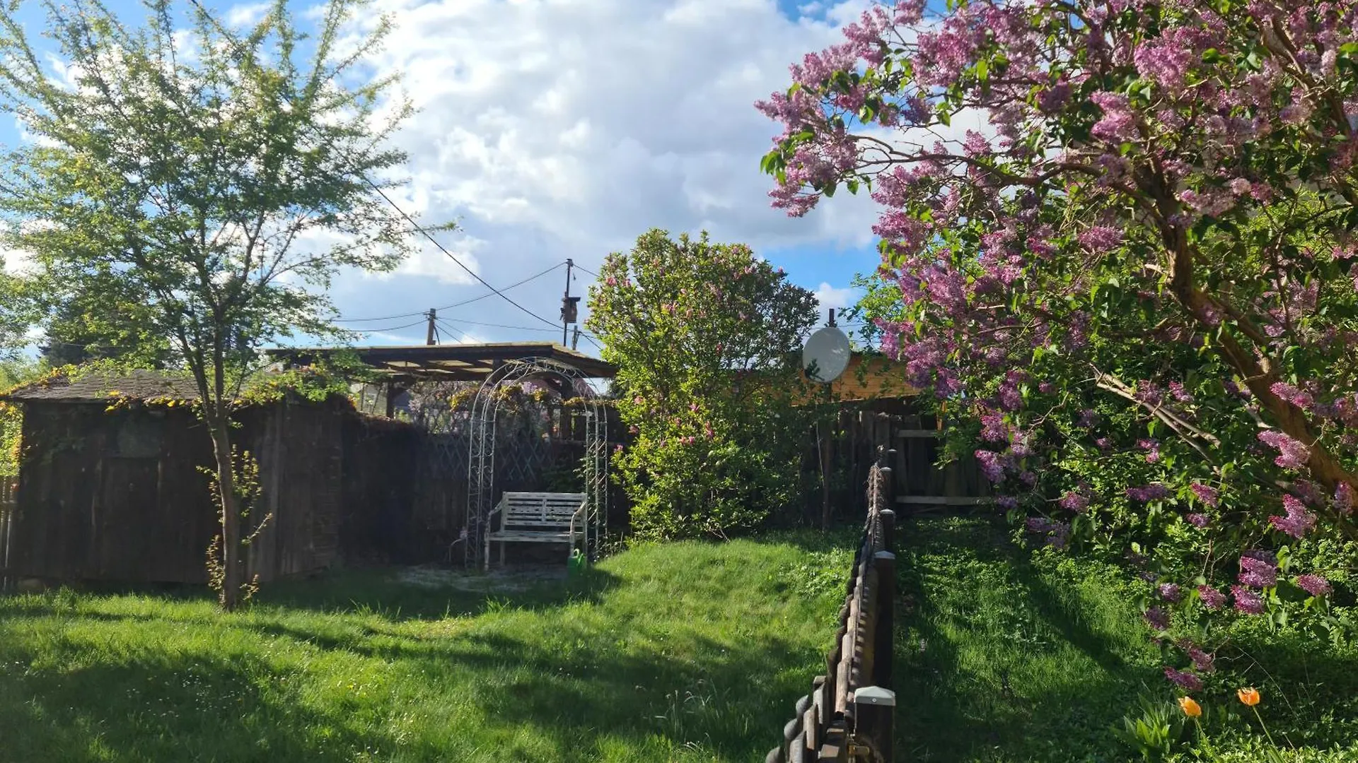 Дом отдыха Gaestehaus Zum Rosengarten Дрезден