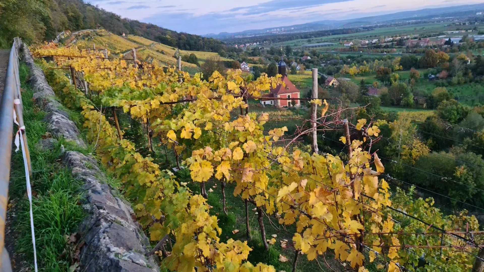 Gaestehaus Zum Rosengarten Дрезден Германия