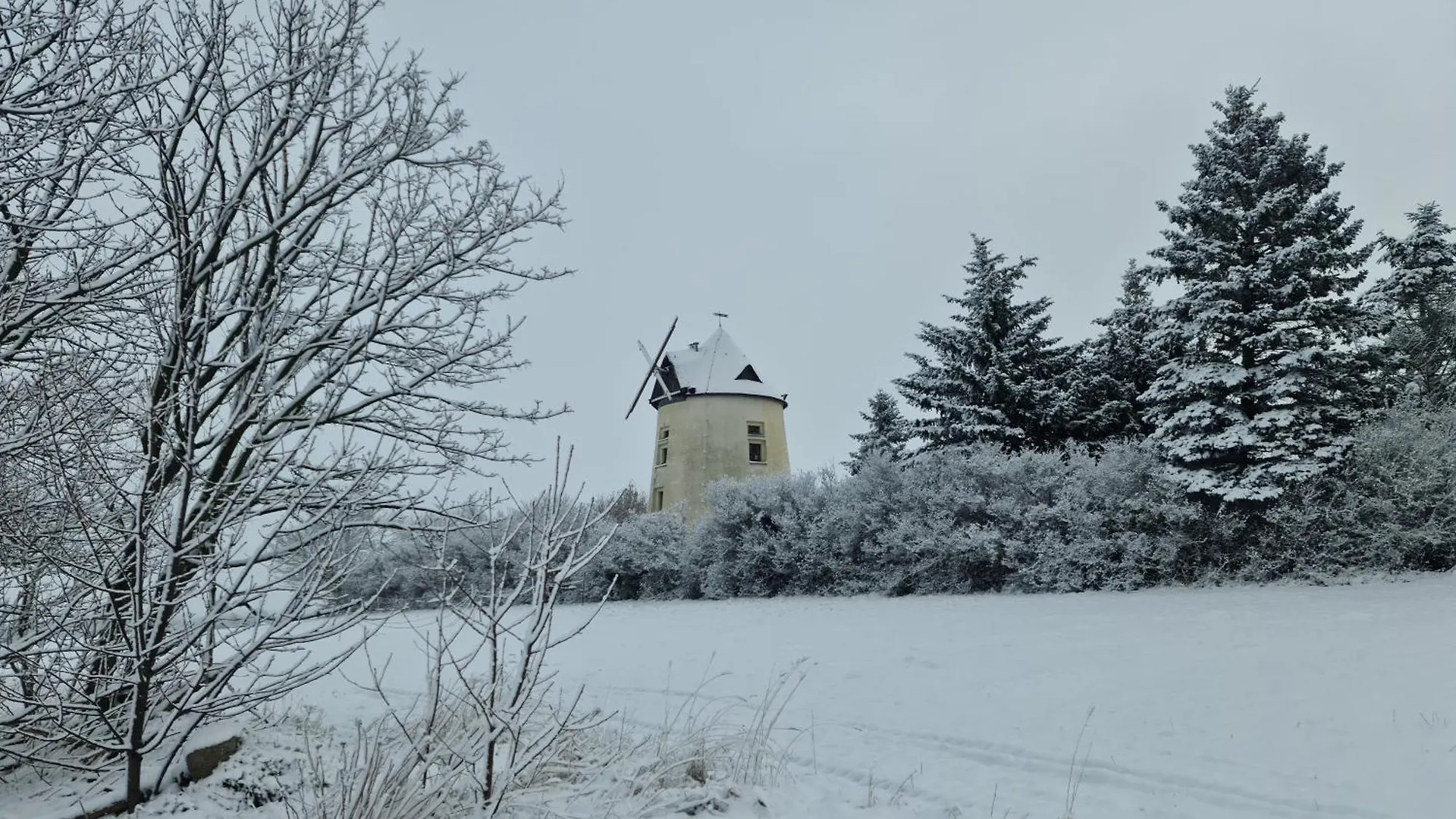 別荘 Gaestehaus Zum Rosengarten ドレスデン
